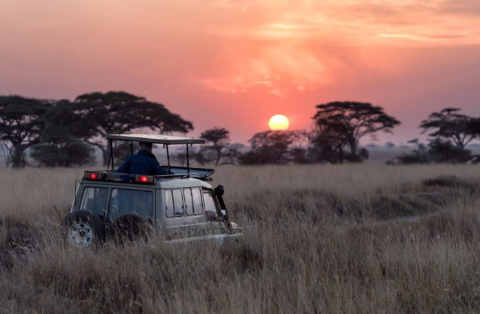 Game Drive in Uganda