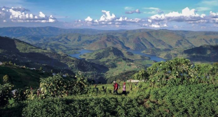 Bunyonyi - The Wakanda Region